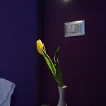 Hotel Nuova Orchidea