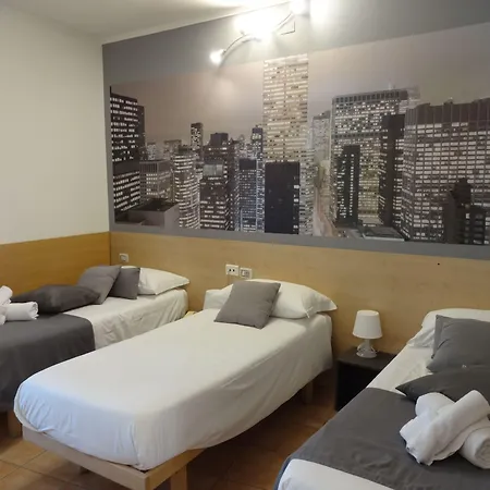 Hotel Nuova Orchidea 3*