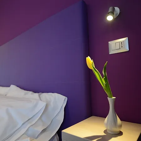 Nuova Orchidea Dresano