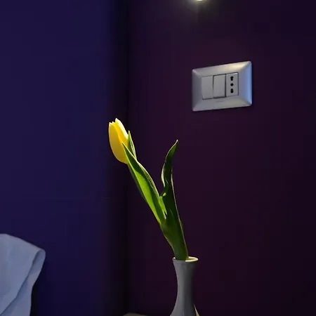 Отель Nuova Orchidea